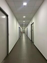 Hh @ Kallang (D13), Factory #561800361